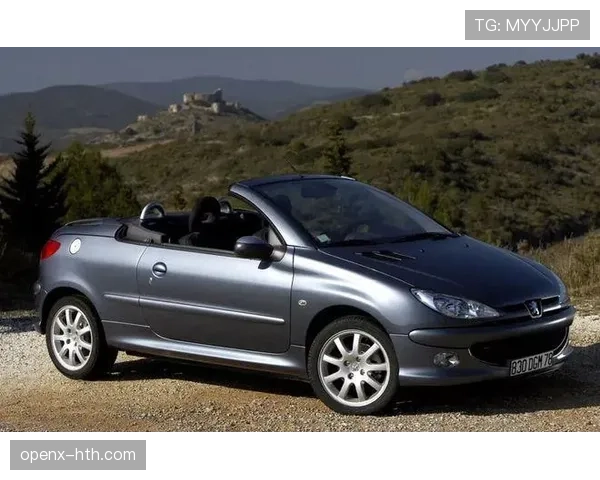 孙悦家的车库比我家还大，他到底有几个车？